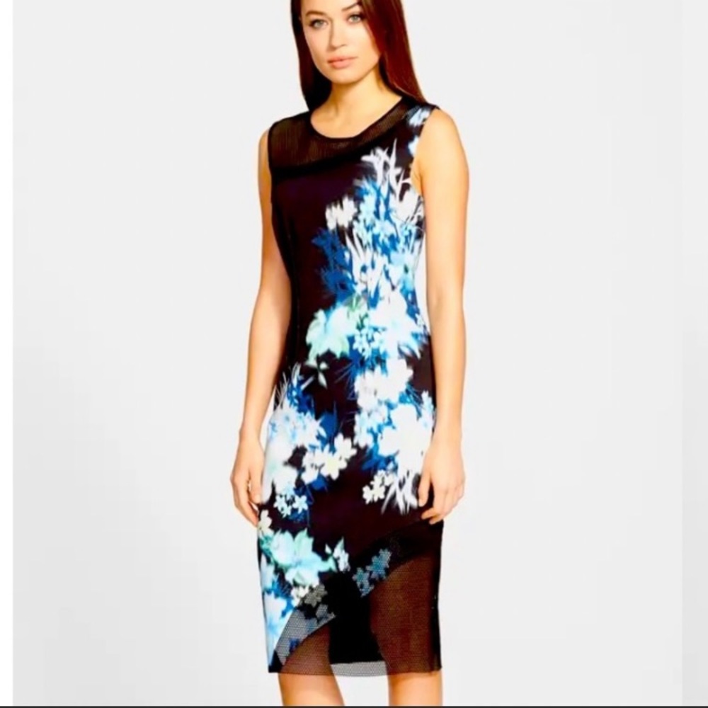 Ellie Tahari Floral Mesh Emory Dress